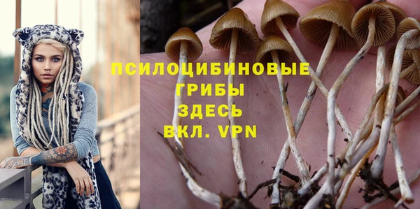 прущий лед Майский
