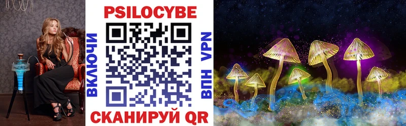 Галлюциногенные грибы Psilocybine cubensis  закладка  Армавир 