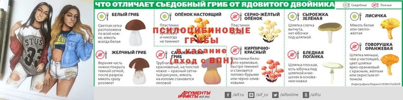 где найти наркотики  гидра зеркало  Псилоцибиновые грибы мухоморы  Армавир 