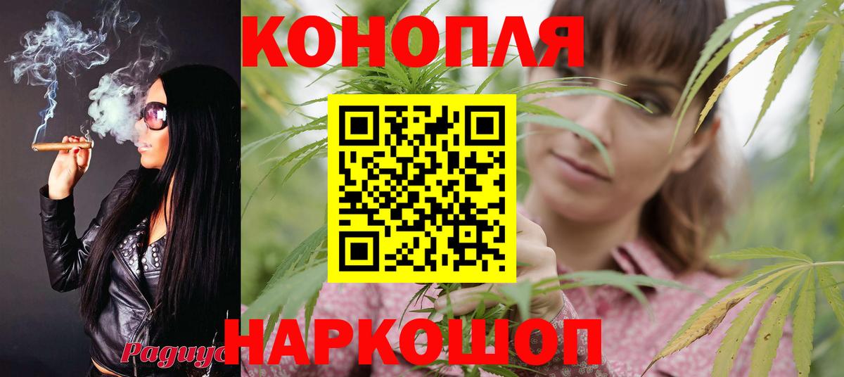 Марихуана OG Kush Армавир